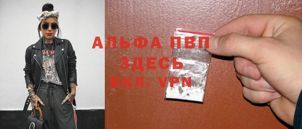 прущие грибы Елизово