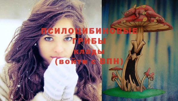 дмт Козельск