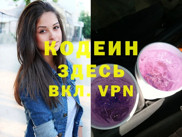 прущие грибы Елизово