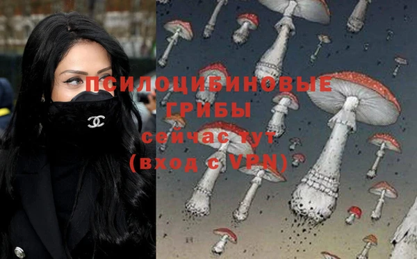 каннабис Дмитриев