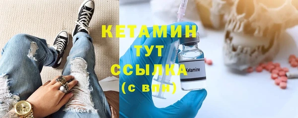 прущие грибы Елизово