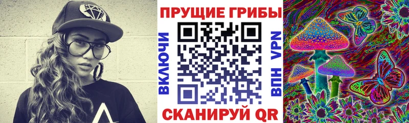 Псилоцибиновые грибы прущие грибы  сайты даркнета телеграм  Змеиногорск  продажа наркотиков 