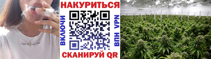 Бошки марихуана OG Kush Змеиногорск